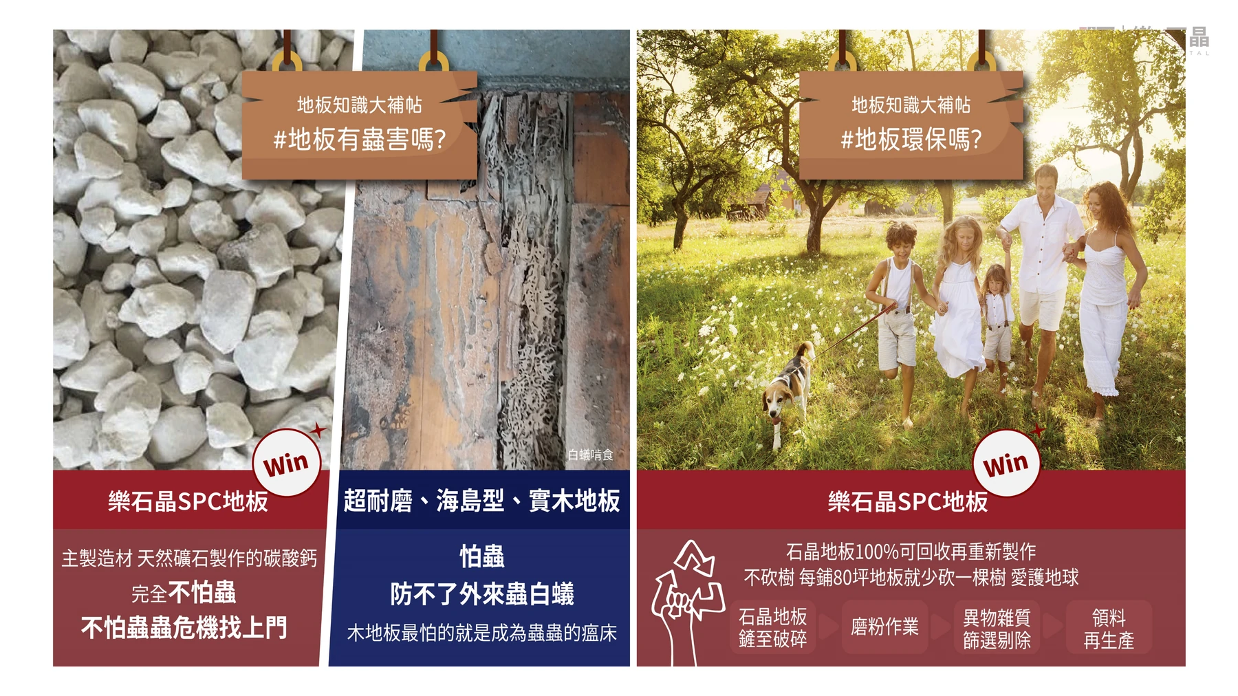 第29頁：地板知識：蟲害與回收